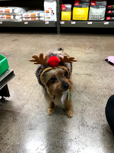 Pet Supply Store «Pet Supplies Plus», reviews and photos, 1704 Greenville Ave, Dallas, TX 75206, USA
