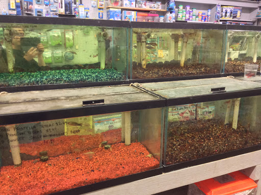 Pet Store «Oasis Tropicals», reviews and photos, 507 Commerce St, Pleasanton, TX 78064, USA