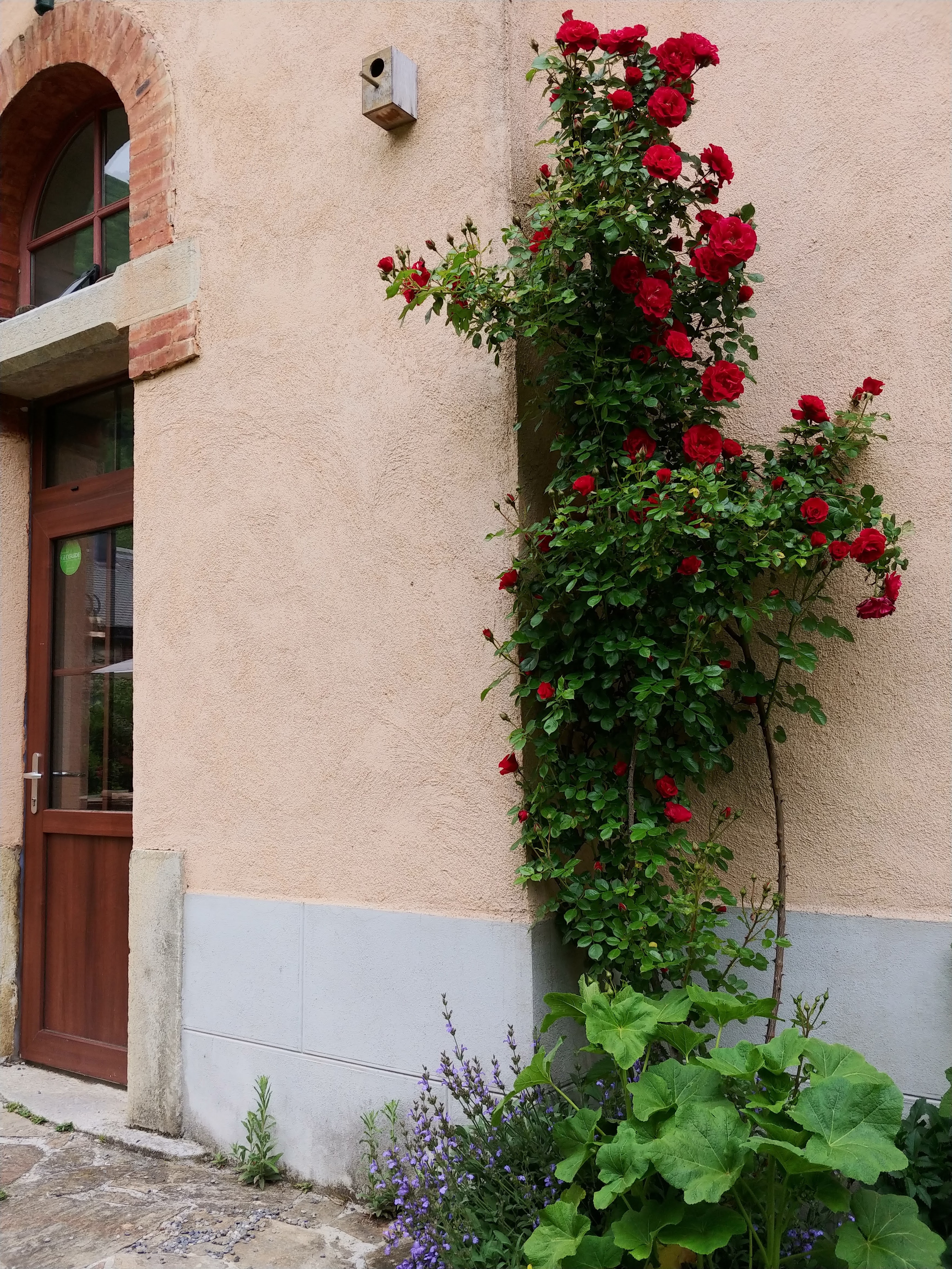Photo n° 13 de l'avis de L. fait le 27/05/2018 à 14:25