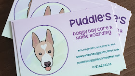 Puddle's Doggy Day Care
