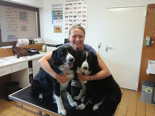 Dr.med.vet. Friedhart Jacob Tierarzt unter Alsfeld, 