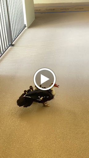 Moving and Storage Service «Two Men and a Truck», reviews and photos, 11952 Miramar Pkwy, Miramar, FL 33025, USA