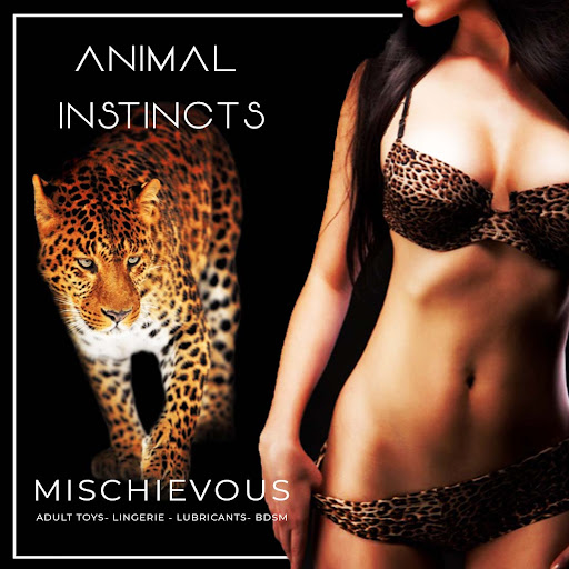 Adult Entertainment Store «Mischievous», reviews and photos, 559 300 W, Salt Lake City, UT 84101, USA