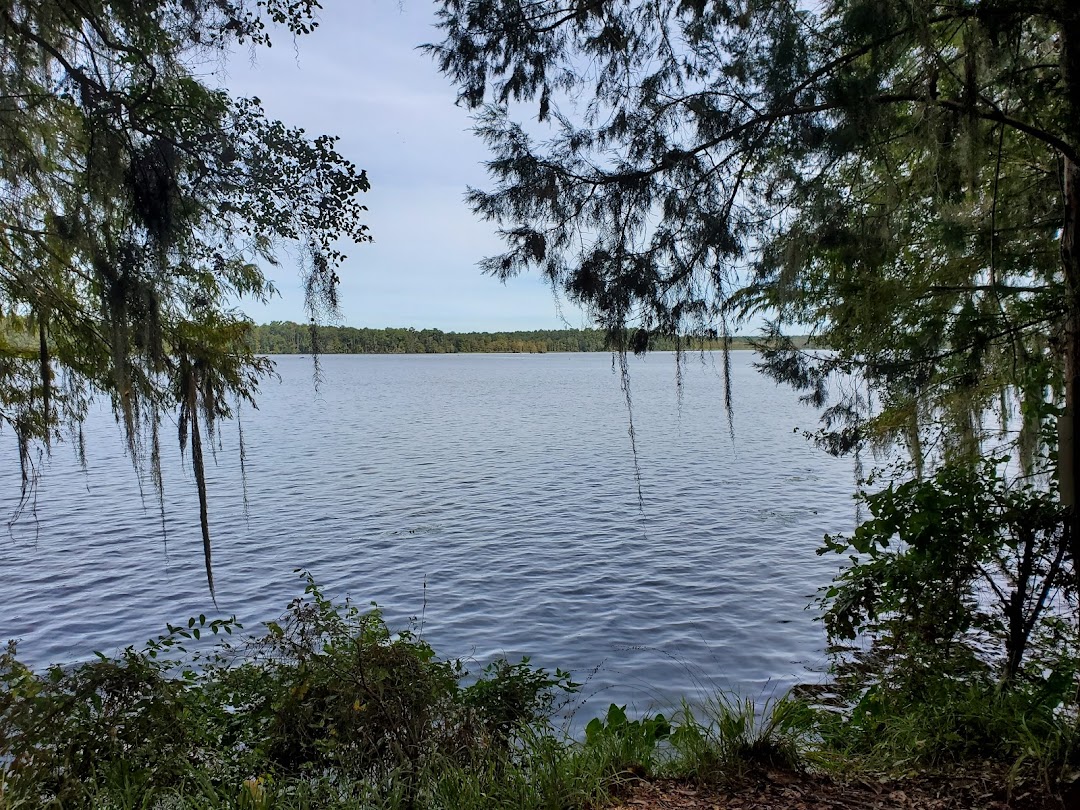 Lake Talquin State Forest Fort Braden Trails