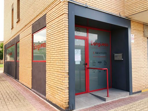 Asistencia Técnica Sangüesa - Nasercal Navarra SL en Tudela, Navarra