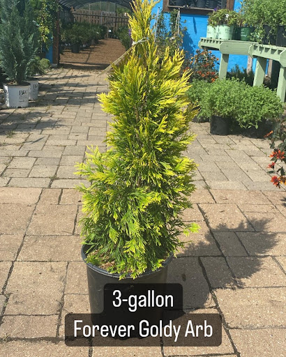 Landscaping Supply Store «Kirkwood Gardens», reviews and photos, 2701 Barrett Station Rd, Ballwin, MO 63021, USA