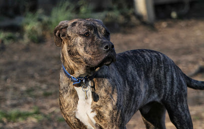 AF1QipOnL-T0AVYt7HG_ZHVlRTwWYv08FoQ9pnLM1EE-=w408-h257-k-no