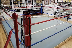 Saint John Golden Gloves Amateur Boxing Club image