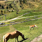 Photo n°2 de l'avis de C..r fait le 27/12/2019 à 18:47 sur le  Kirchsteiger Alm à Hafling