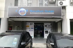 MACALLUM OCEAN SDN BHD SUNGAI BESI image