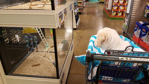 Pet Supply Store «PetSmart», reviews and photos, 1140 W Elliot Rd, Tempe, AZ 85284, USA