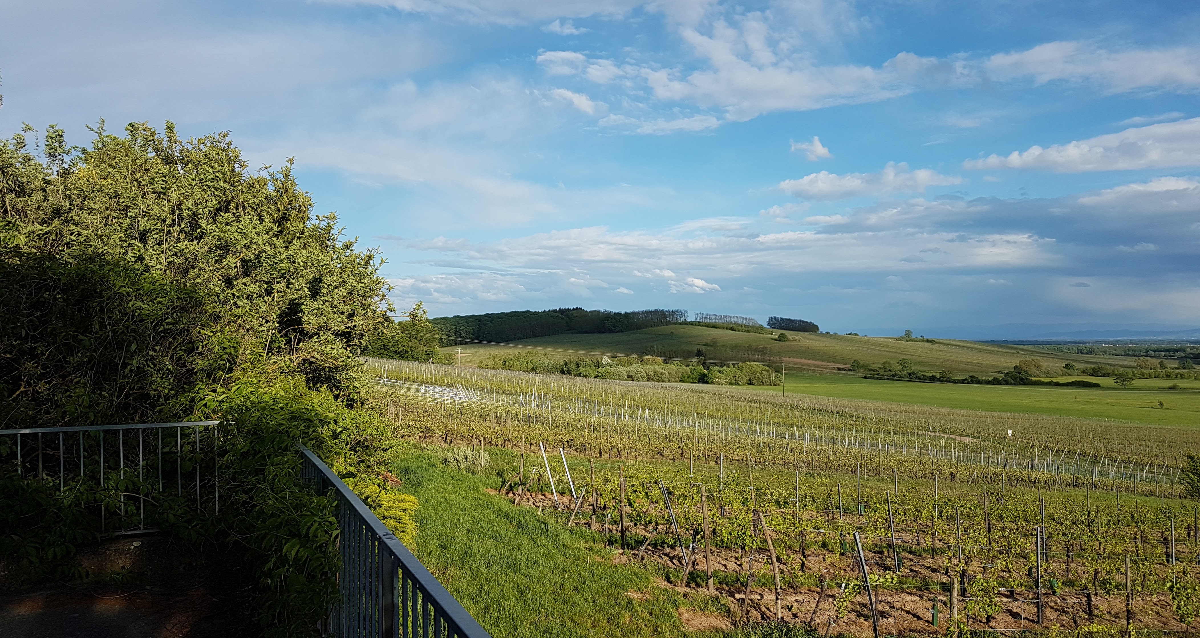 Photo n° 2 de l'avis de Manuel.a fait le 08/05/2018 à 21:10