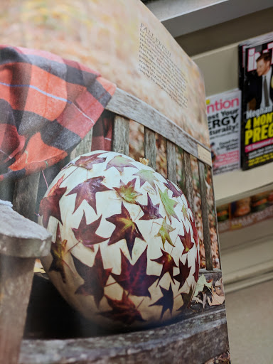 Grocery Store «Food Lion», reviews and photos, 1 Jacksonville Rd, Crisfield, MD 21817, USA