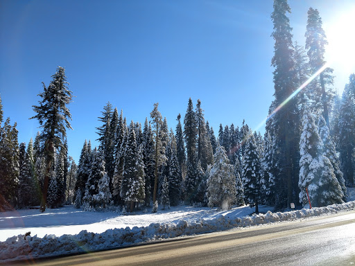 General Store «Fish Camp General Store», reviews and photos, 1191 CA-41, Fish Camp, CA 93623, USA