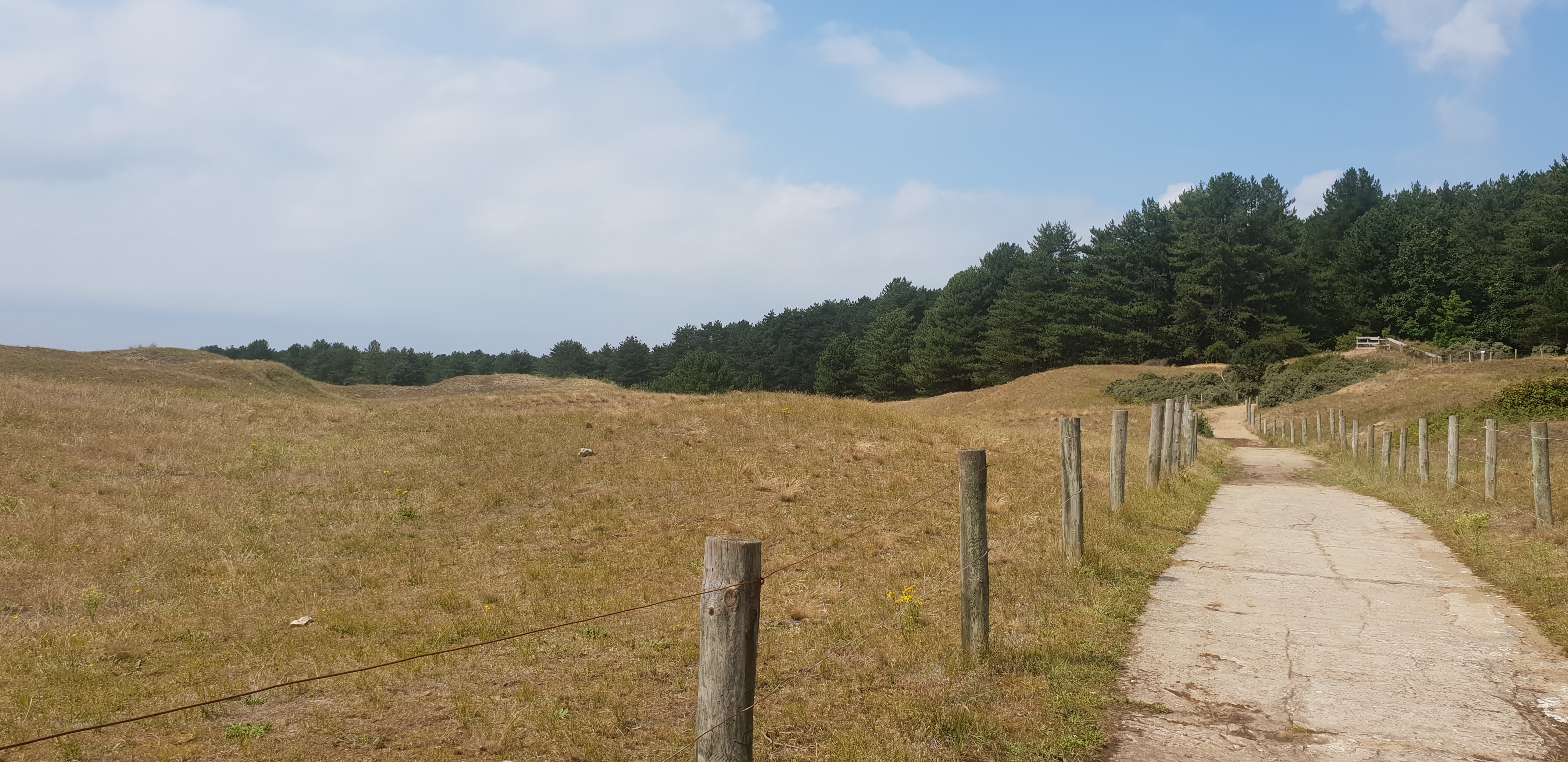 Photo n° 10 de l'avis de Floriant.o fait le 25/08/2023 à 13:28