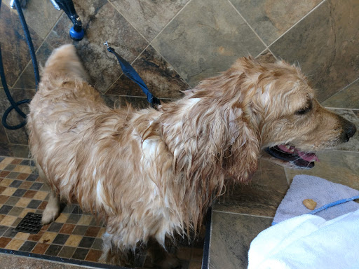 Pet Supply Store «Pet Valu», reviews and photos, 220 CT-12, Groton, CT 06340, USA