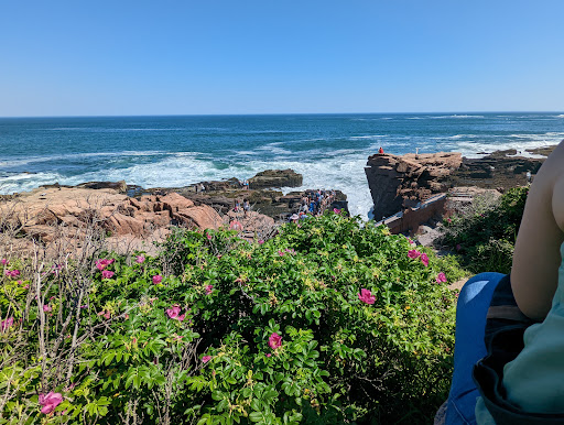 Sightseeing Tour Agency «Acadia National Park Tours», reviews and photos, 53 Main St, Bar Harbor, ME 04609, USA