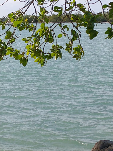 Aquarium «St. Lucie County Aquarium», reviews and photos, 420 Seaway Dr, Fort Pierce, FL 34949, USA