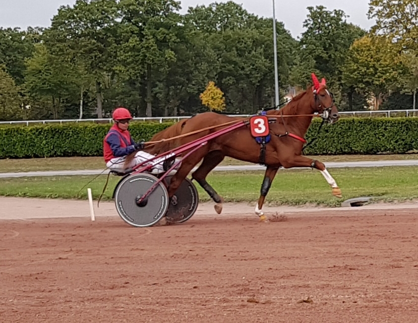 Photo n° 21 de l'avis de Nicole.r fait le 23/10/2018 à 20:46