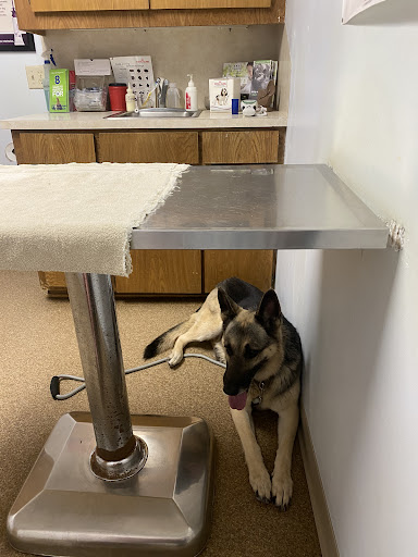 Fairfield Veterinary Hospital image