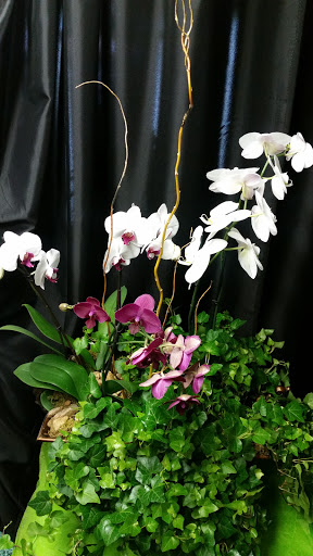 Florist «PEARTREE OF POWDER SPRINGS / Home.Florist.Gifts», reviews and photos, 4440 Marietta St, Powder Springs, GA 30127, USA