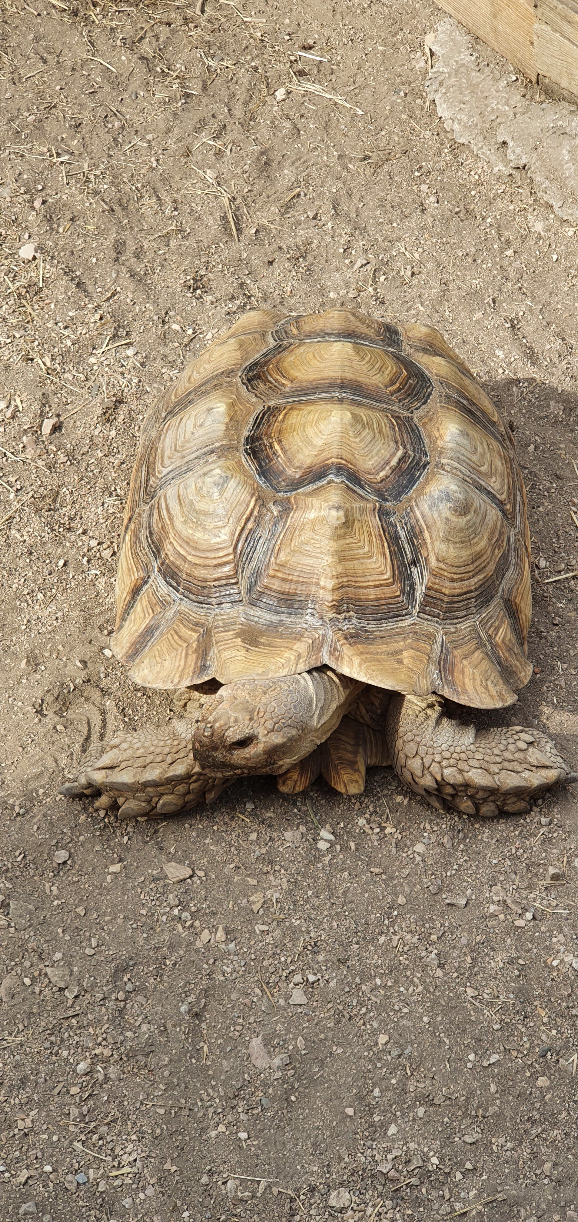 Photo n° 22 de l'avis de Laëtitia.E fait le 25/07/2020 à 00:11