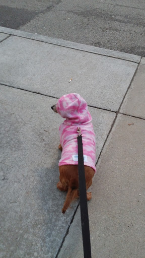 Pet Supply Store «Petco», reviews and photos, 590 E Waterfront Dr, Homestead, PA 15120, USA