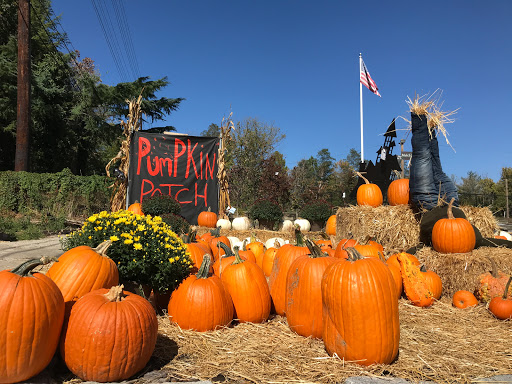 Plant Nursery «Potomac Petals and Plants», reviews and photos, 9545 River Rd, Rockville, MD 20854, USA