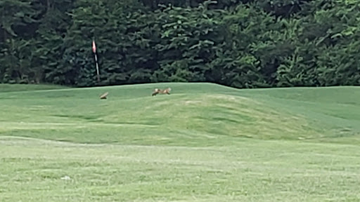 Golf Course «Concord Park Par 3», reviews and photos, 10909 S Northshore Dr, Knoxville, TN 37922, USA
