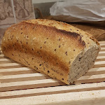 Photo n° 1 de l'avis de Noé.i fait le 11/01/2021 à 12:25 pour MARIEGE à Labatut-Rivière