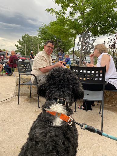 Brewery «Canyon Creek Brewing», reviews and photos