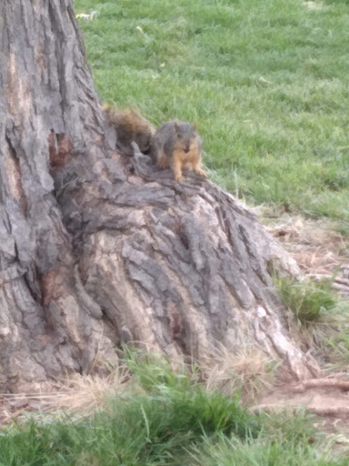 Golf Club «Lake Hefner Golf Club», reviews and photos, 4491 S Lake Hefner Dr, Oklahoma City, OK 73116, USA