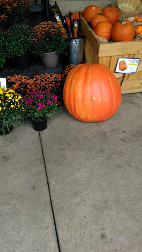 Grocery Store «Giant Food Stores», reviews and photos, 1465 W Broad St, Quakertown, PA 18951, USA