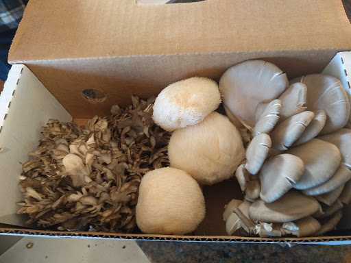 Produce Market «The Woodlands at Phillips», reviews and photos, 1020 Kaolin Rd, Kennett Square, PA 19348, USA