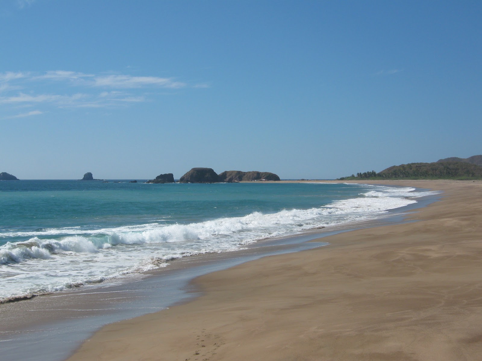 Tecuan beach的照片 位于自然区域