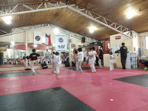Andes Academy Martial Arts