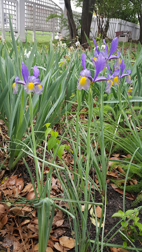 Tourist Attraction «Chestnut Square Historic Village», reviews and photos, 315 S Chestnut St, McKinney, TX 75069, USA