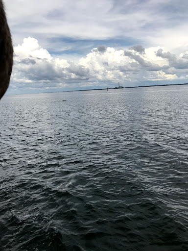 Boat Tour Agency «Spongeorama Cruise lines», reviews and photos, 510 Dodecanese Blvd, Tarpon Springs, FL 34689, USA