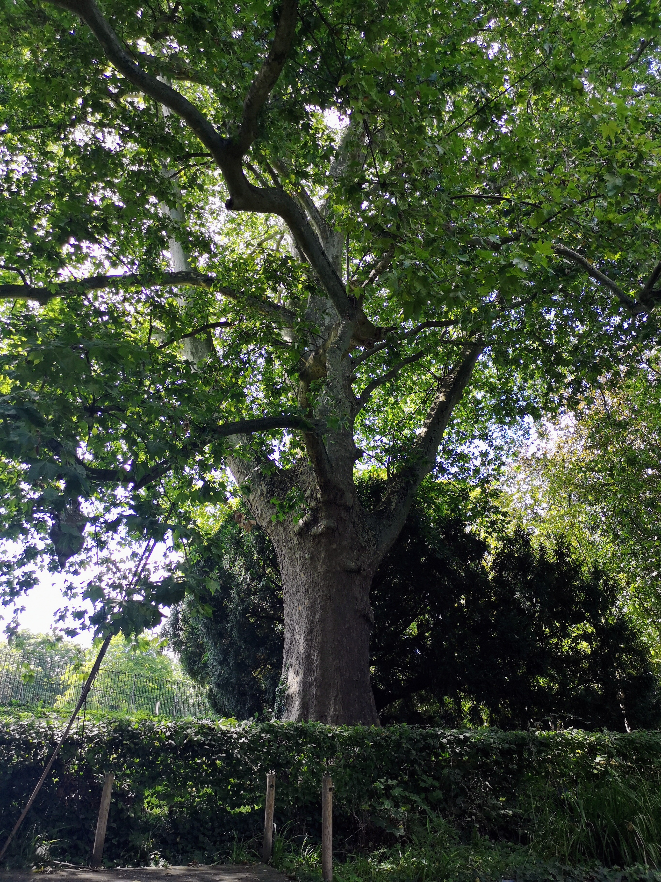 Photo n° 8 de l'avis de Valérie.a fait le 16/08/2023 à 16:38