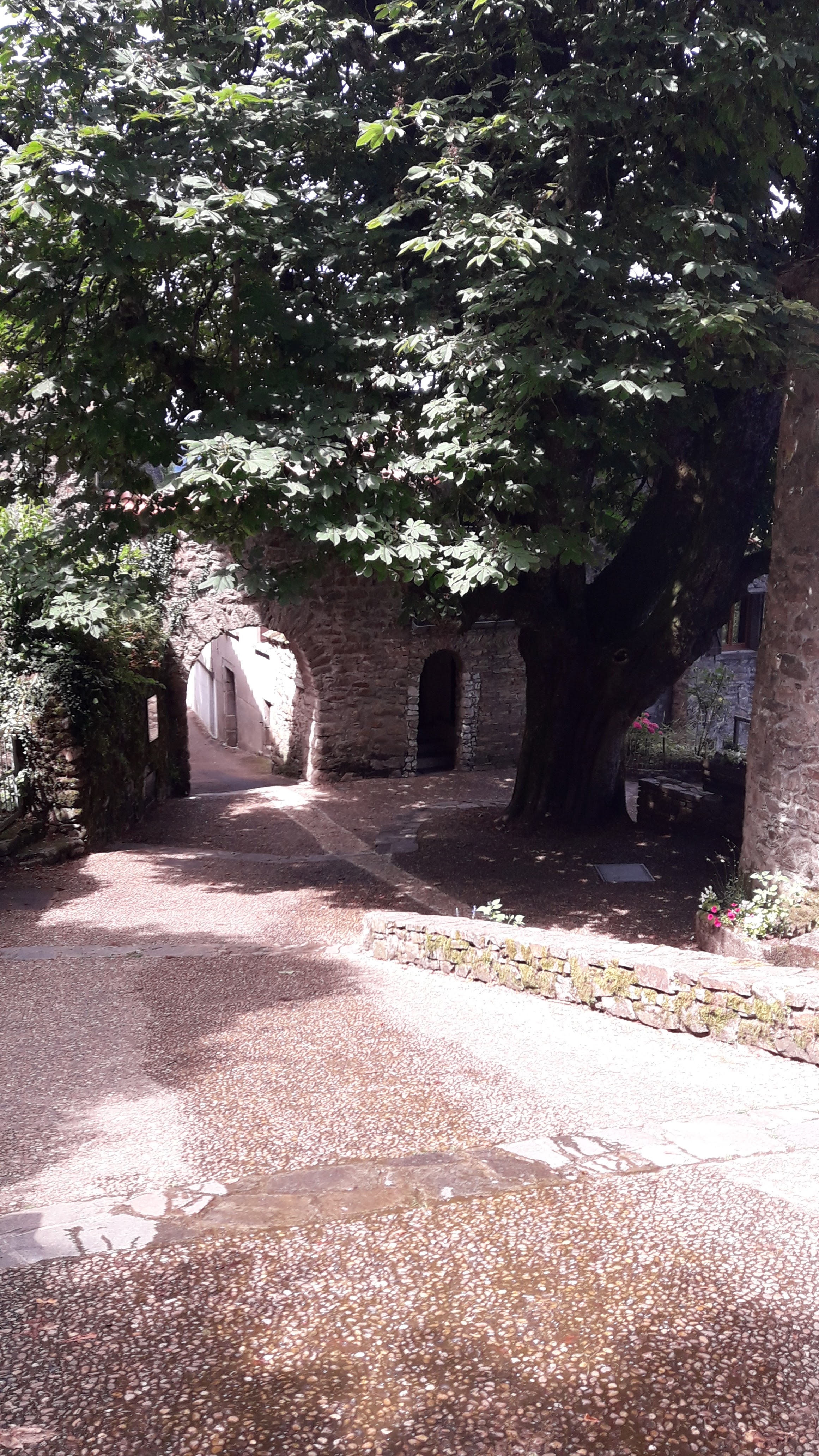 Photo n° 5 de l'avis de SEVRYNE.S fait le 23/07/2020 à 23:33
