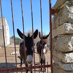 Photo n°1 de l'avis de LaLaura. fait le 23/01/2022 à 21:34 sur le  Lollovers à Lollove