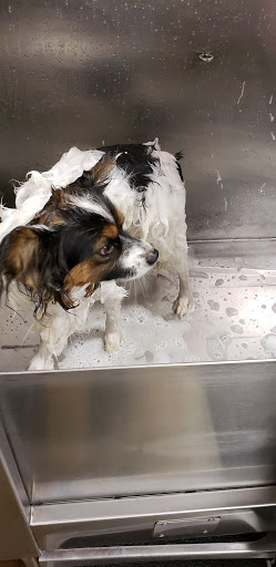 Pet Supply Store «Lemos Feed & Pet Supply», reviews and photos, 1320 Main St, Morro Bay, CA 93442, USA