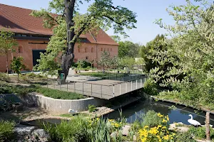 & Kloster Riesa Zoo image