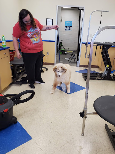 Pet Supply Store «Petsense Lenoir», reviews and photos, 1009 Blowing Rock Blvd, Lenoir, NC 28645, USA