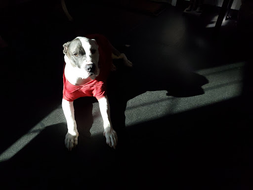 Martial Arts School «American Top Team Connecticut BJJ, MMA, Muay Thai Danbury, CT», reviews and photos, 16 Beaver Brook Rd #3, Danbury, CT 06810, USA