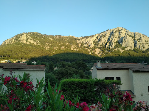 Les Paniers Varois à Toulon