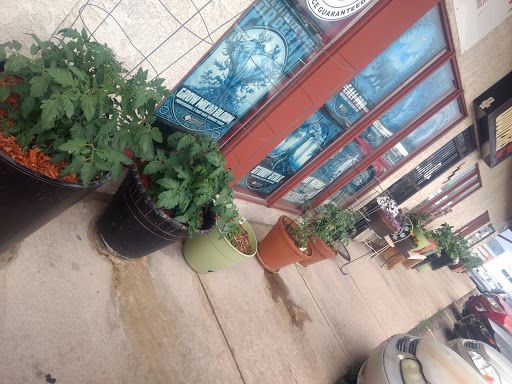 Tattoo Shop «Summit Tattoo», reviews and photos, 1005 Caprice Dr, Castle Rock, CO 80109, USA