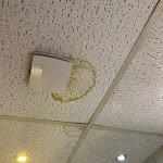 Photo n°6 de l'avis de yes. fait le 12/11/2022 à 04:35 sur le  Ravel international à Offenbach