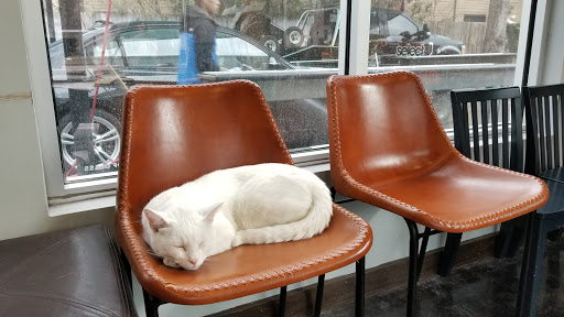 Car Detailing Service «Aqua Hand Car Wash & Detail», reviews and photos, 1013 Montrose Blvd, Houston, TX 77019, USA