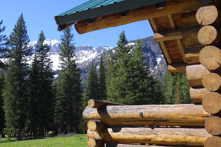 Pine Edge Cabins by null